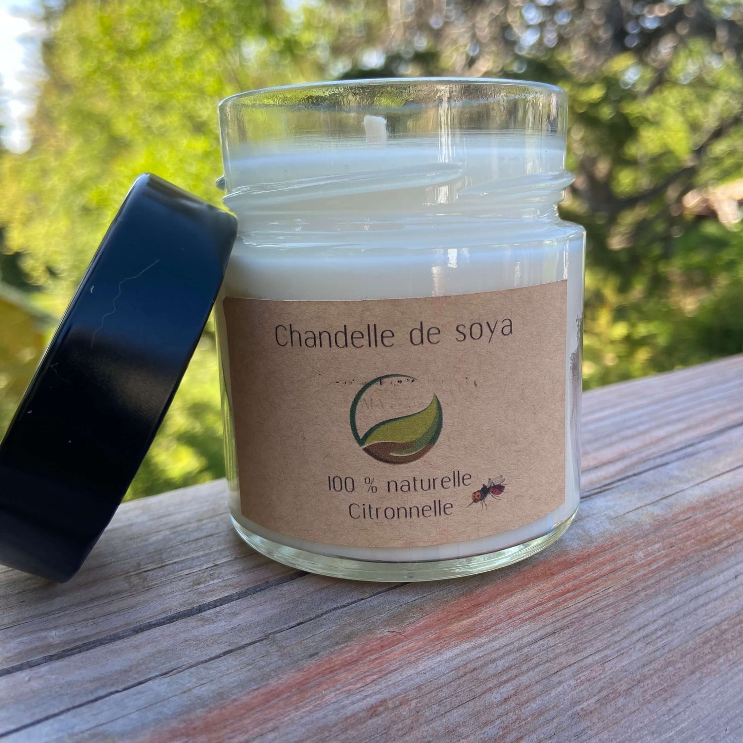 Chandelle Chasse moustique