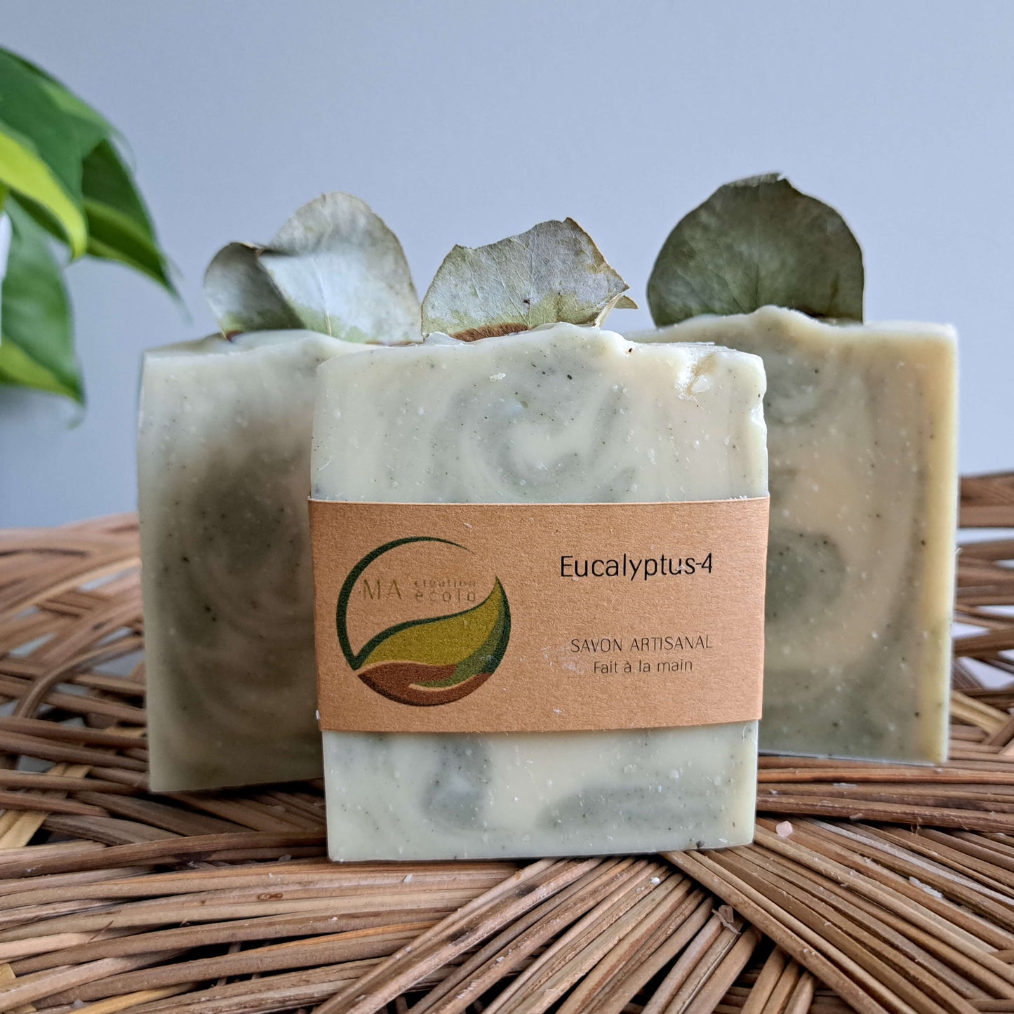 Savon artisanal | Eucalyptus